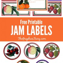 Free Printable Jam Labels // The Graphics Fairy