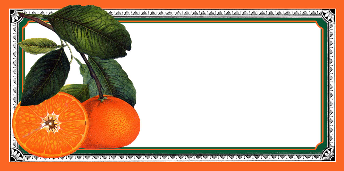 Orange marmalade label
