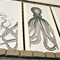 Octopus Art