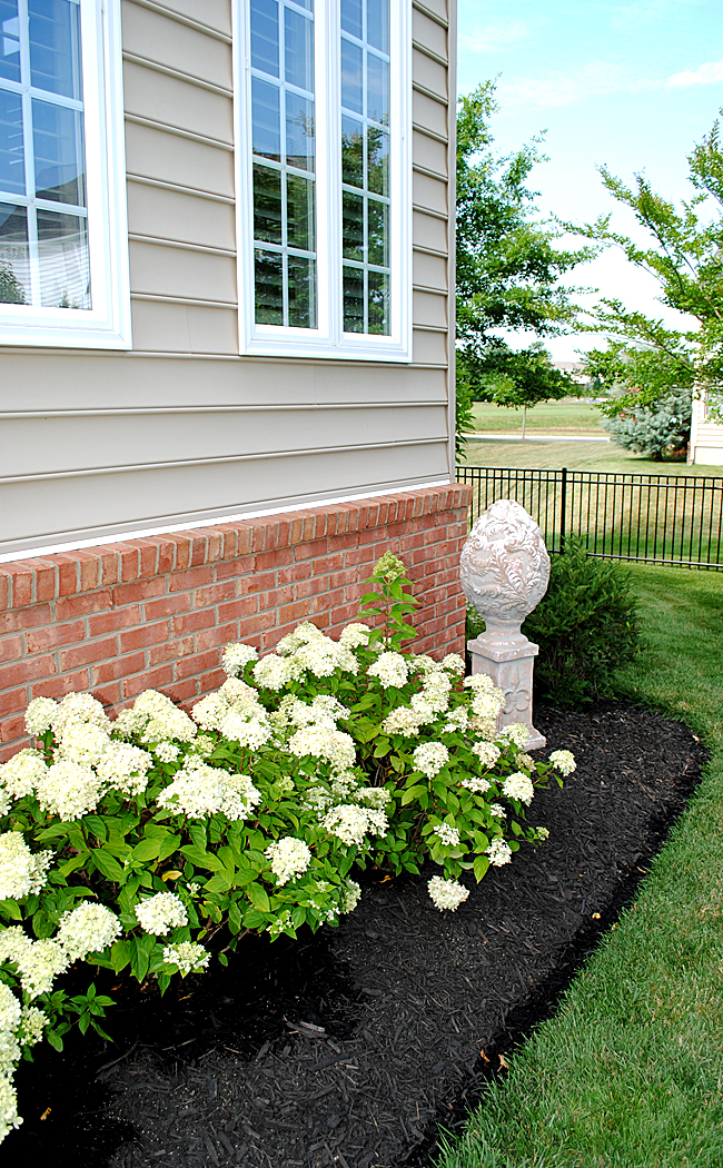 8 Great Ideas for Backyard Landscaping! - The Graphics Fairy