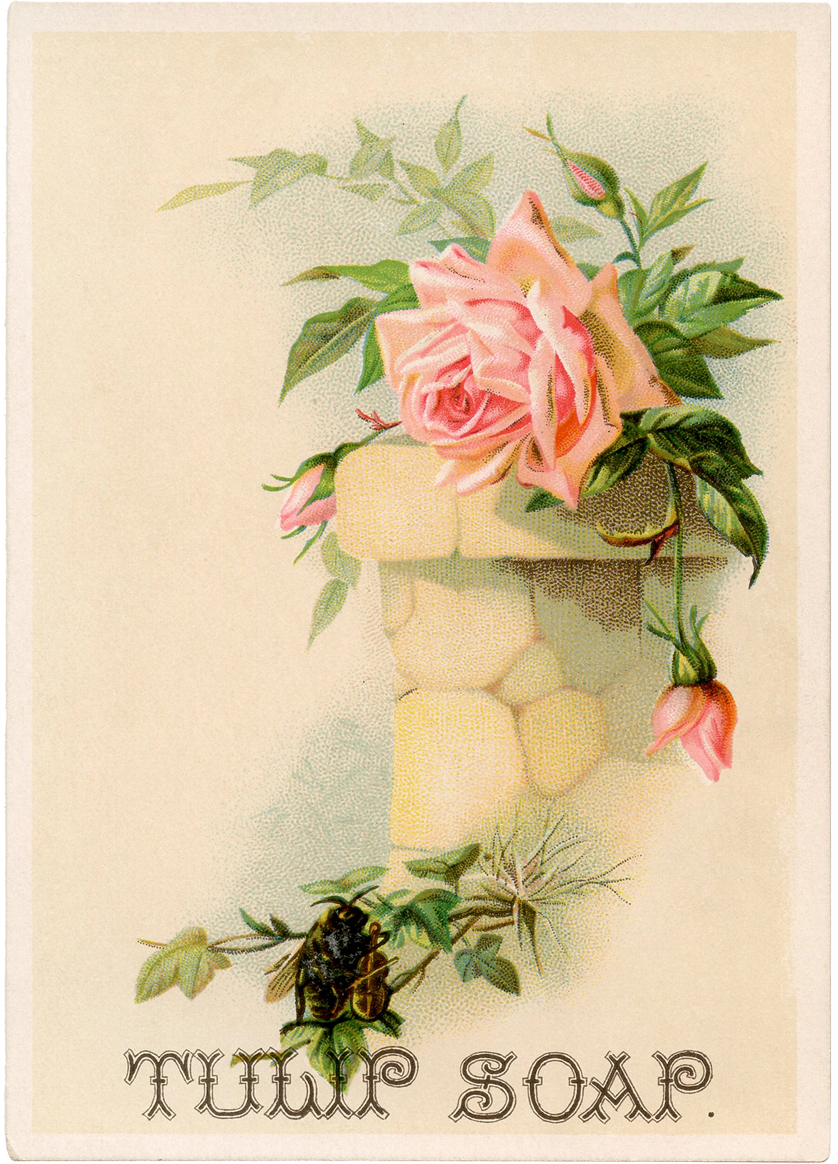 Vintage Soap Ad - Pink Roses! - The Graphics Fairy