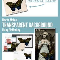 how to make a transparent background with picmonkey with butterfly and lady graphics