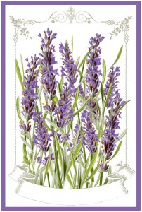 Lavender Labels Download