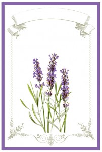 Lavender and Label