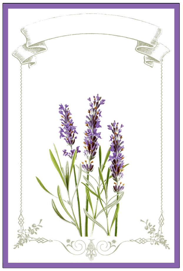 free-printable-lavender-labels-and-stickers-the-graphics-fairy
