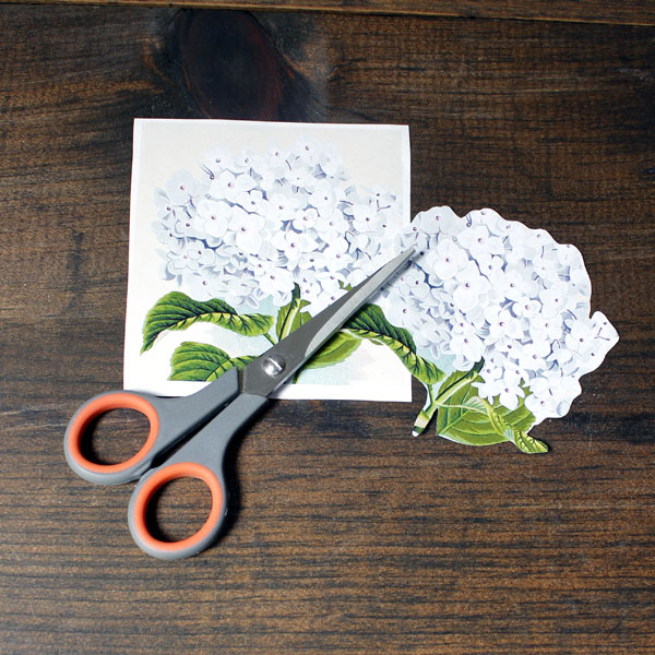 Cutting out flower