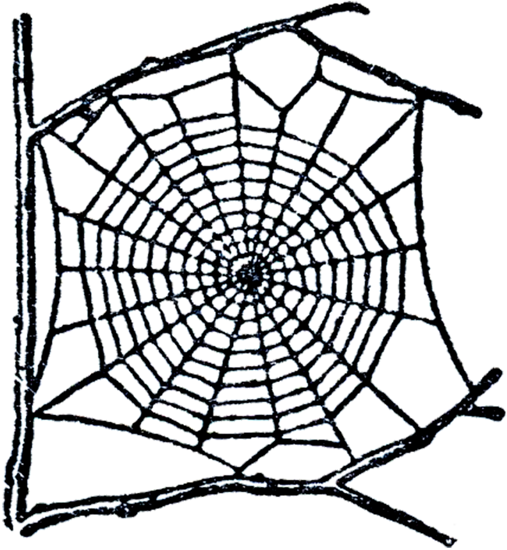 Spider Black And White Clip Art