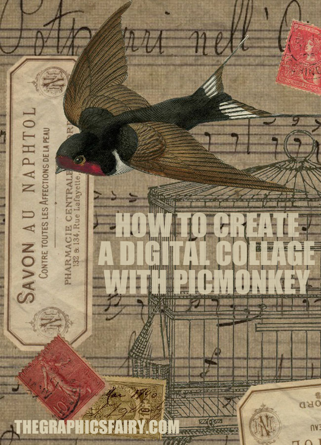 how to create a digital collage with picmonkey