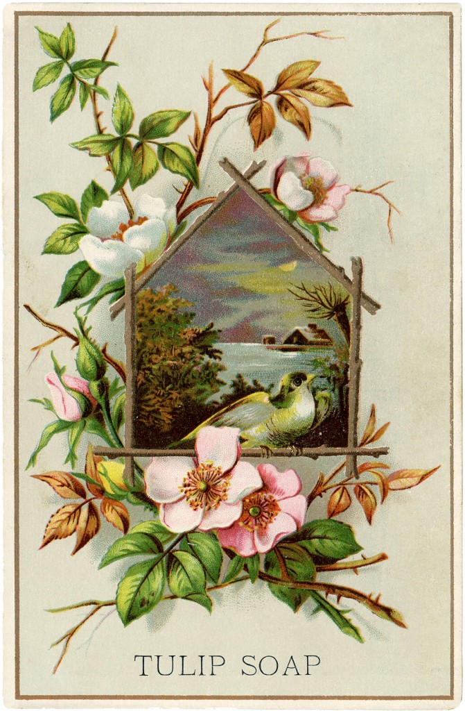 Wild Roses Card