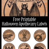 halloween apothecary labels with bat