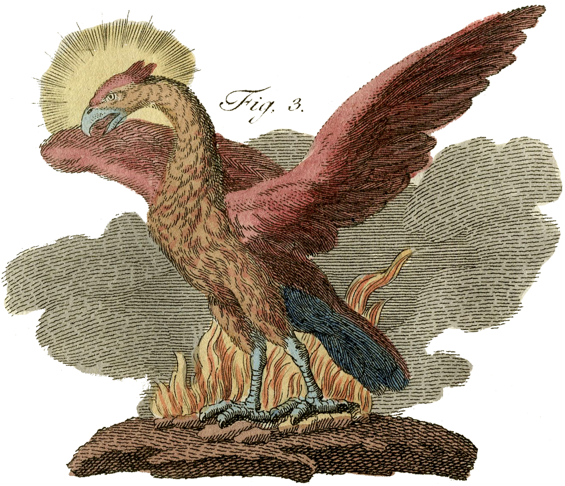 Public Domain Phoenix Image