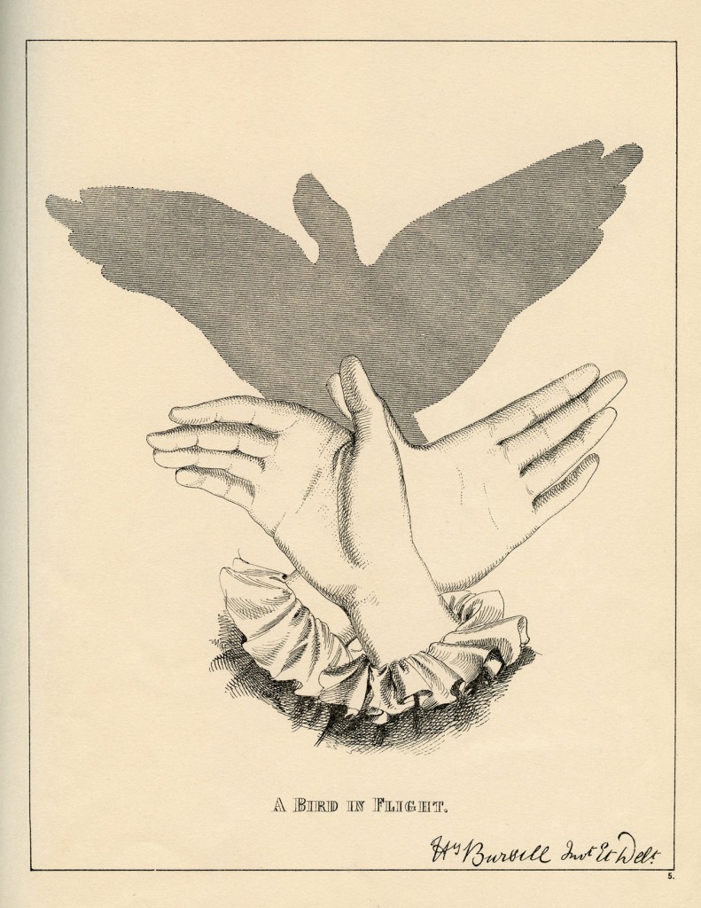 Vintage Shadow Puppet Bird Printable