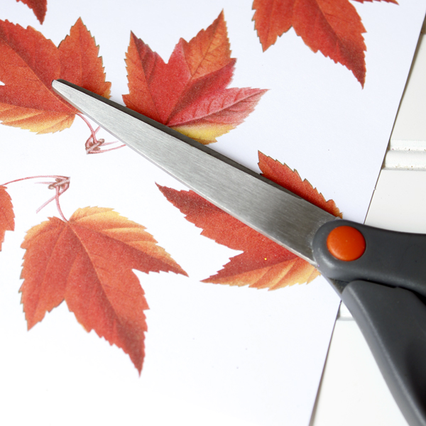 Cutting out Leaves