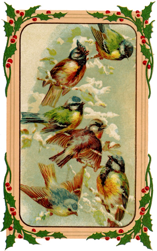 Holiday Birds Image - Sweet! - The Graphics Fairy