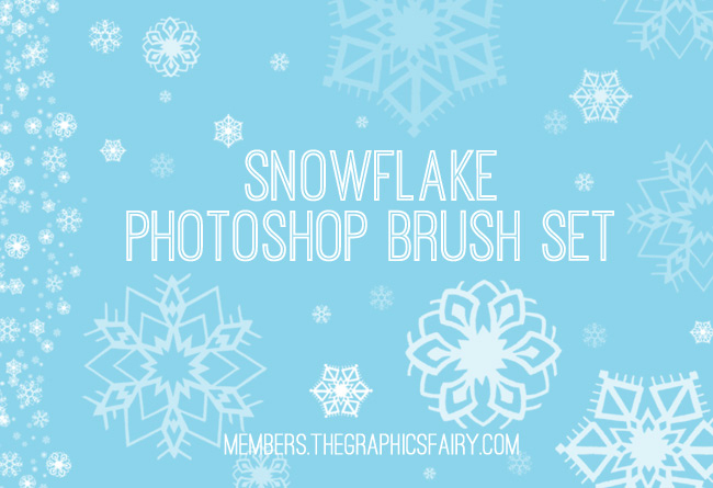 Snowflake brush set