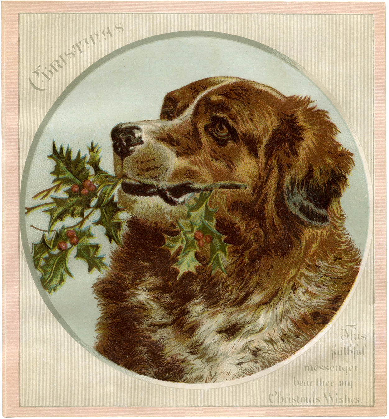 Lovely Christmas Dog Image! - The Graphics Fairy