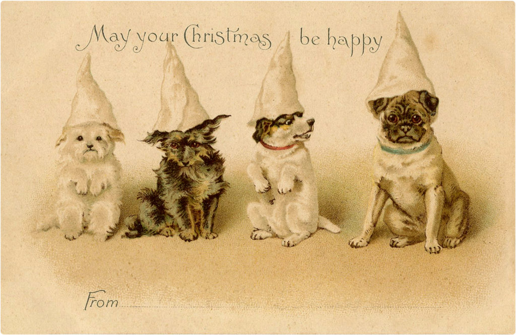 Christmas Dogs with Hats Image