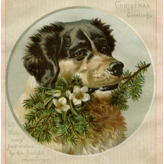 Vintage Christmas Dog Image