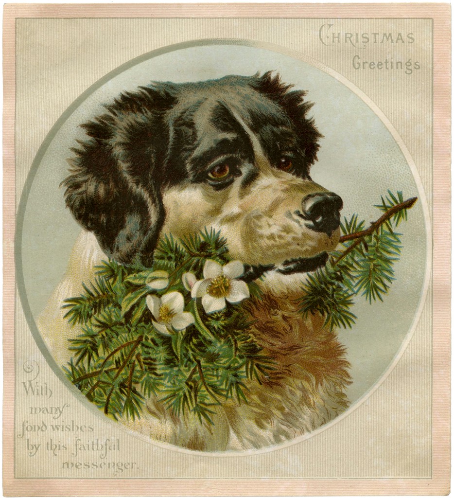 Vintage Christmas Dog Image! - The Graphics Fairy