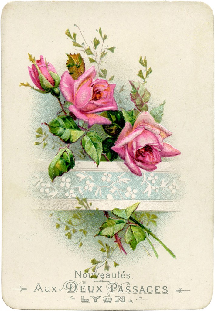 Vintage French Roses Image! The Graphics Fairy