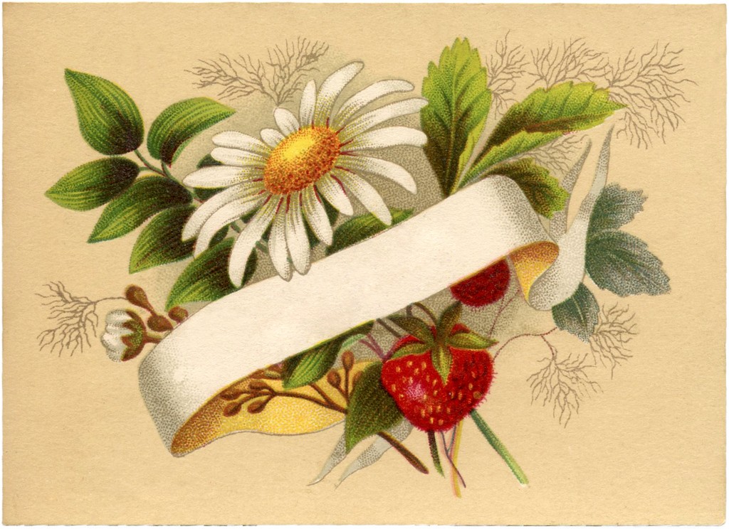 Vintage Strawberry Label Image