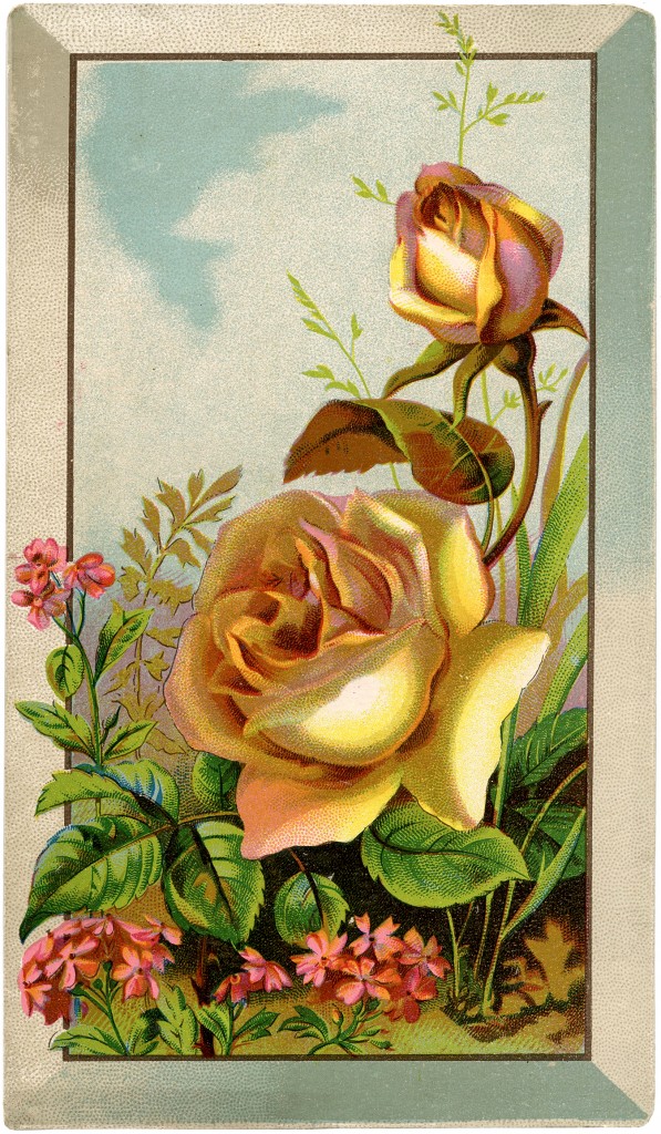 Free Roses Digital Download