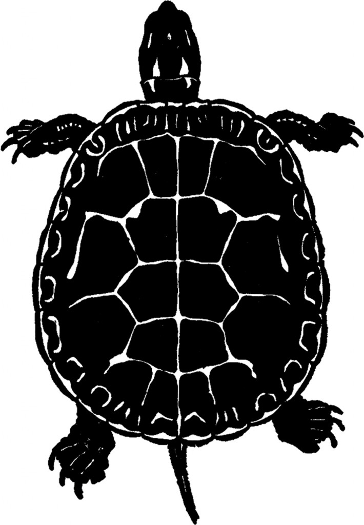 Public Domain Turtle Image - Silhouette! - The Graphics Fairy