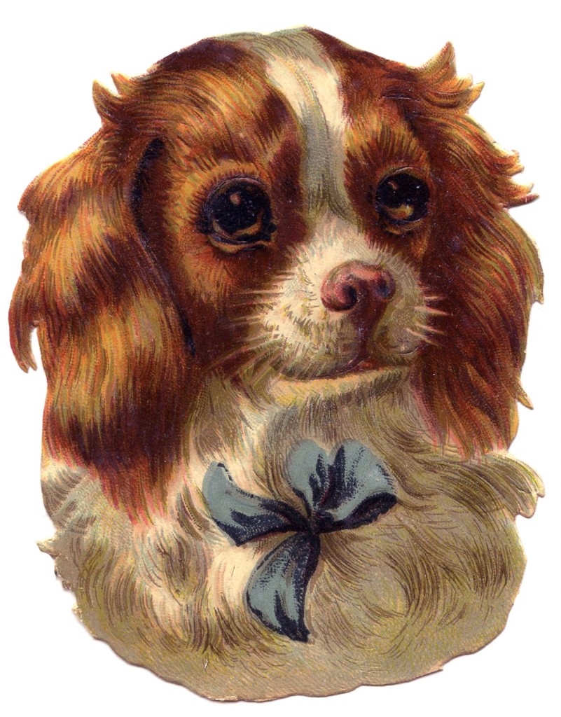 Vintage Dog Image Spaniel