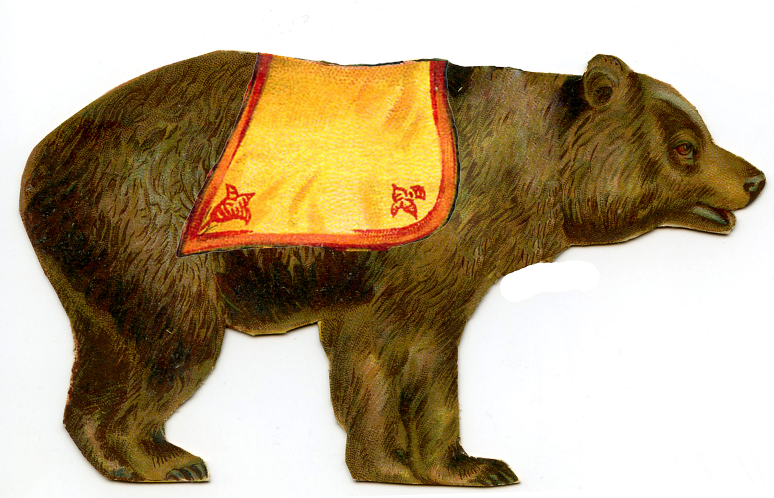 Vintage animal bear image