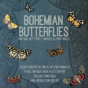 Bohemian butterflies bundle