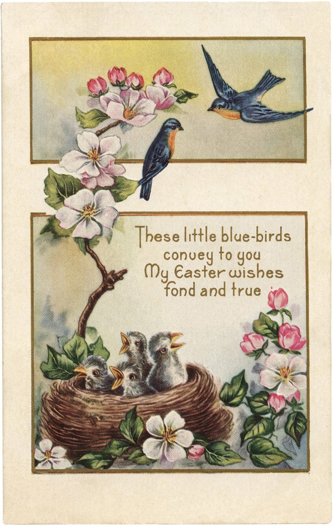 Sweet Easter Bluebirds Image - The Graphics Fairy