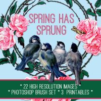 spring collage with birds and flowers