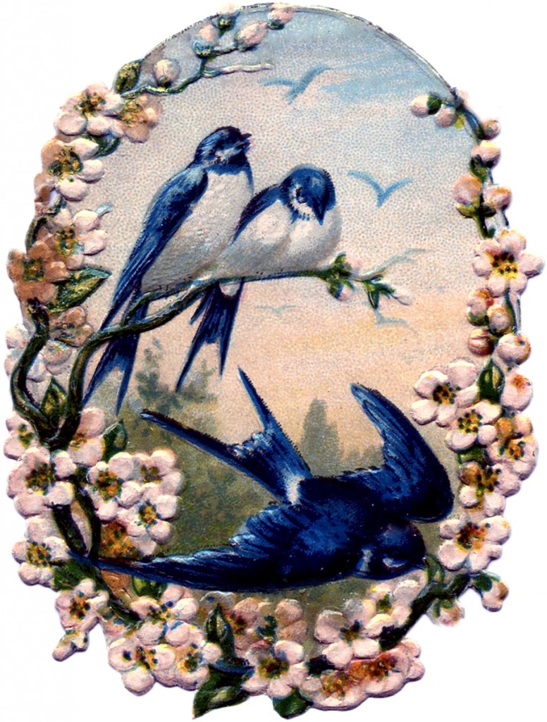 Vintage Birds with Flowers Scrap