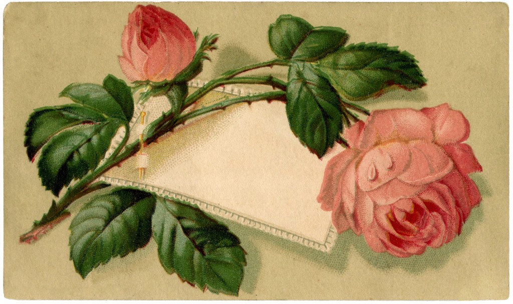 Vintage Pink Rose Label Image The Graphics Fairy