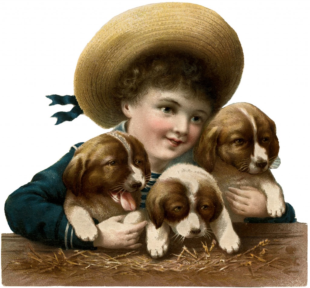 Vintage Boy with Puppies Image