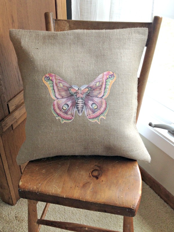 butterfly pillow