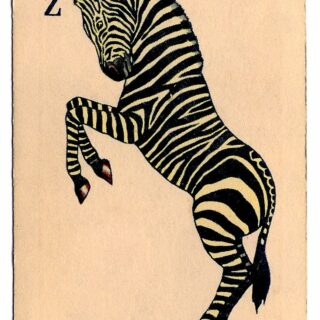 Zebra Clipart Card