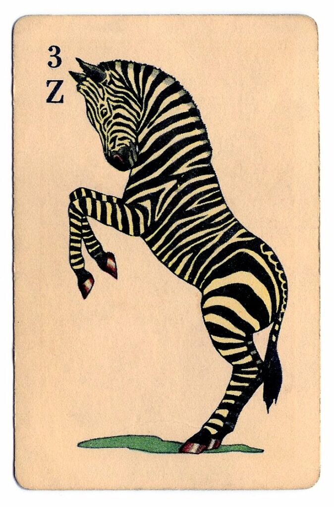 Zebra Clipart Card