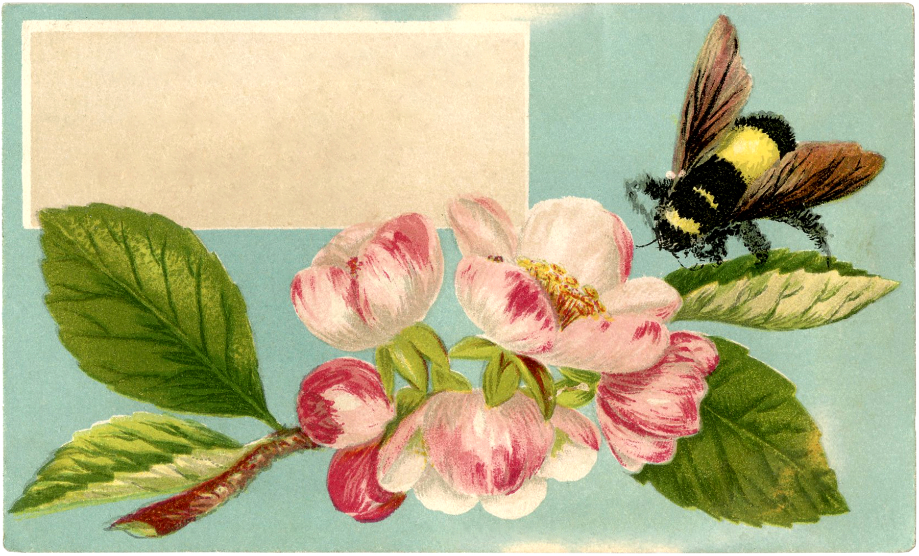Bee with Flowers Image