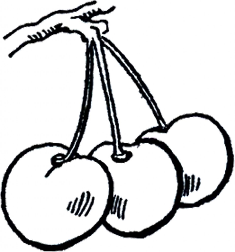 Cherry Clipart