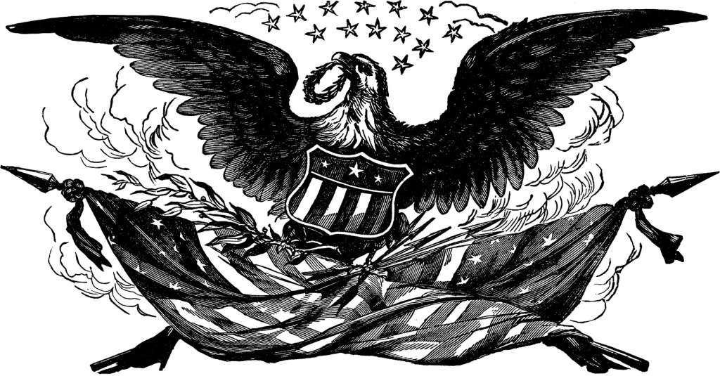 Vintage Bald Eagle Flag Image