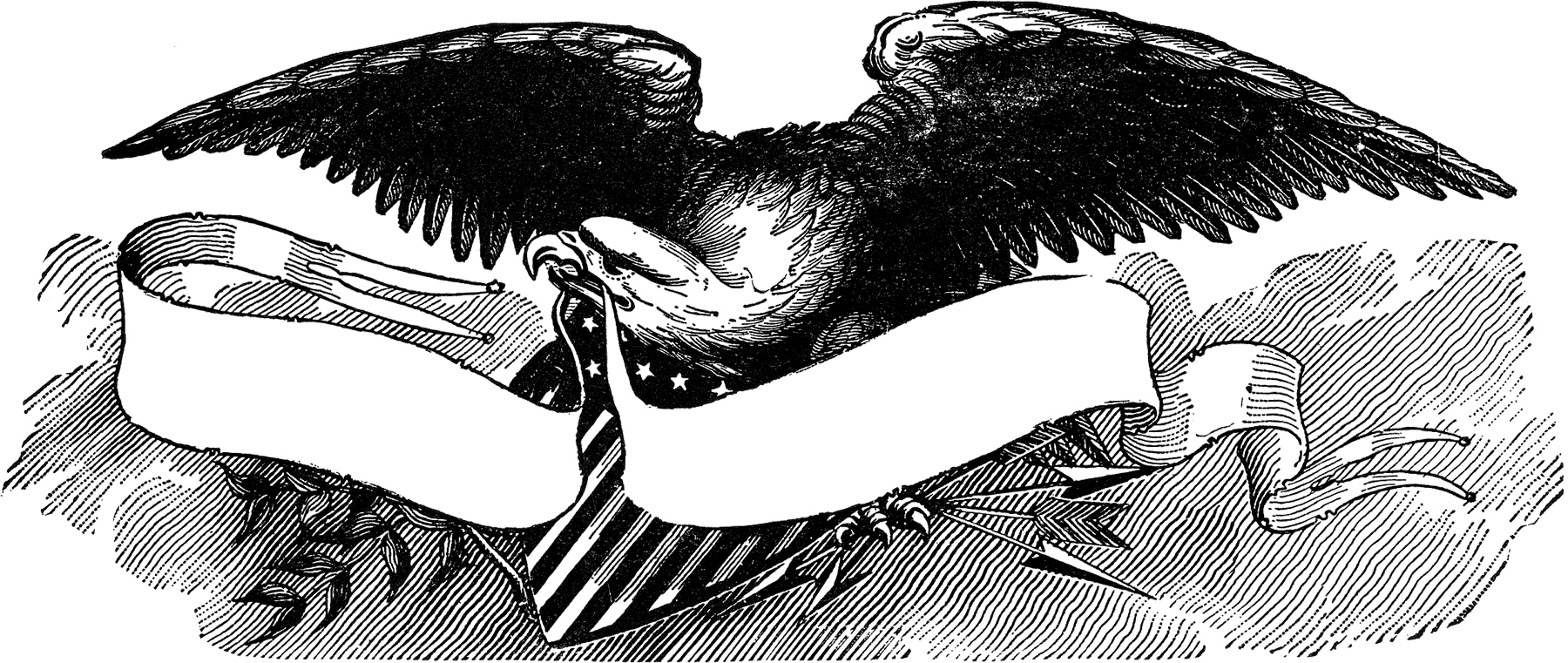 american eagle clip art black and white