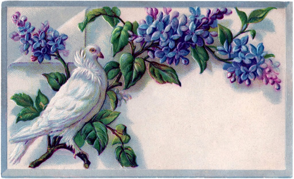 Dove with Purple Flowers