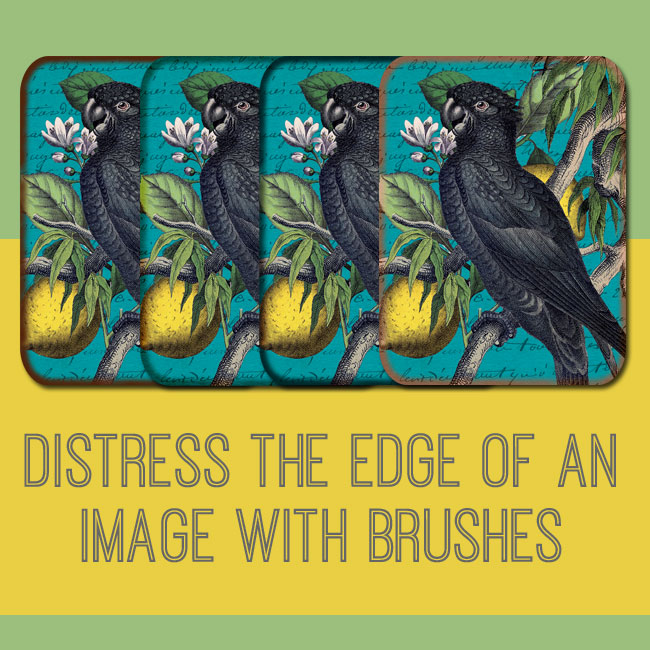 Distress the edge of an image with brushes