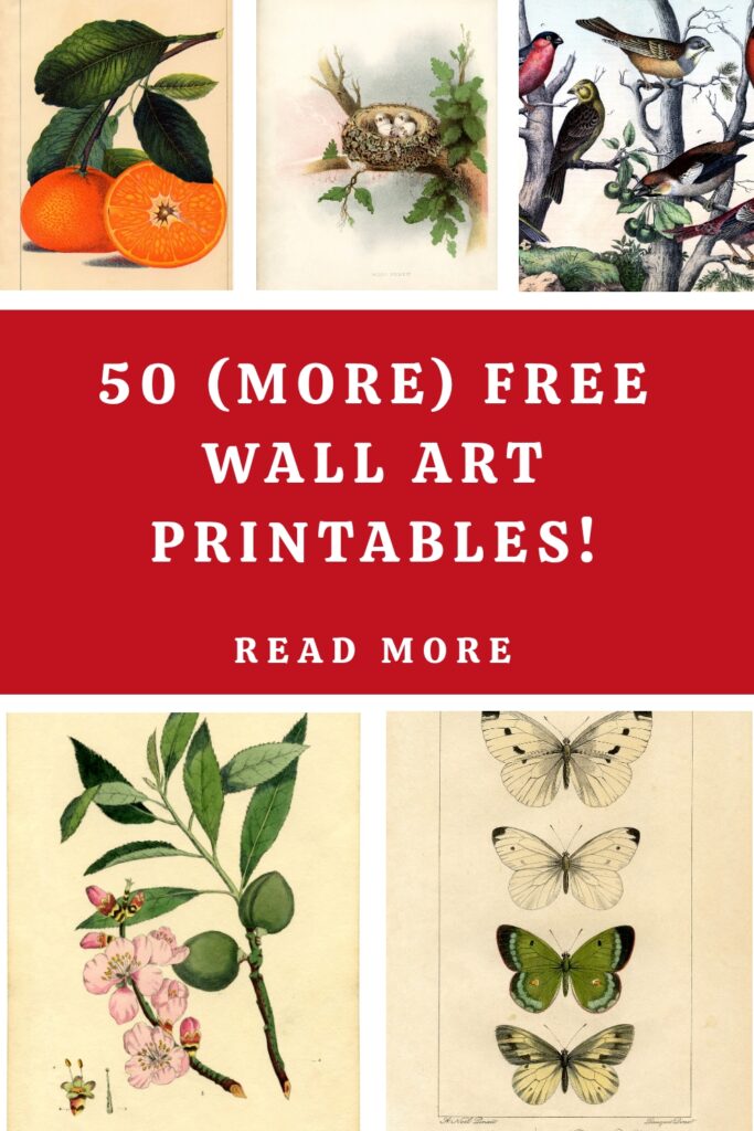50 Wall Art Printables Pin