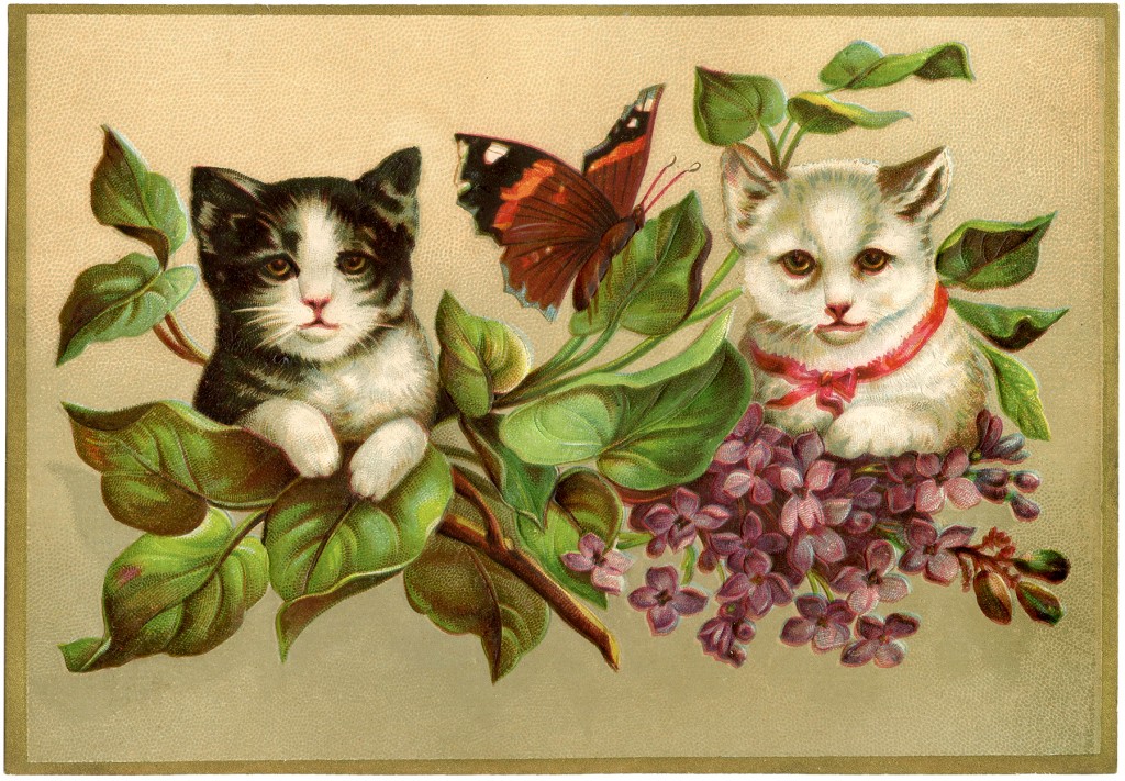 24 Beautiful Vintage Cat Pictures! - The Graphics Fairy