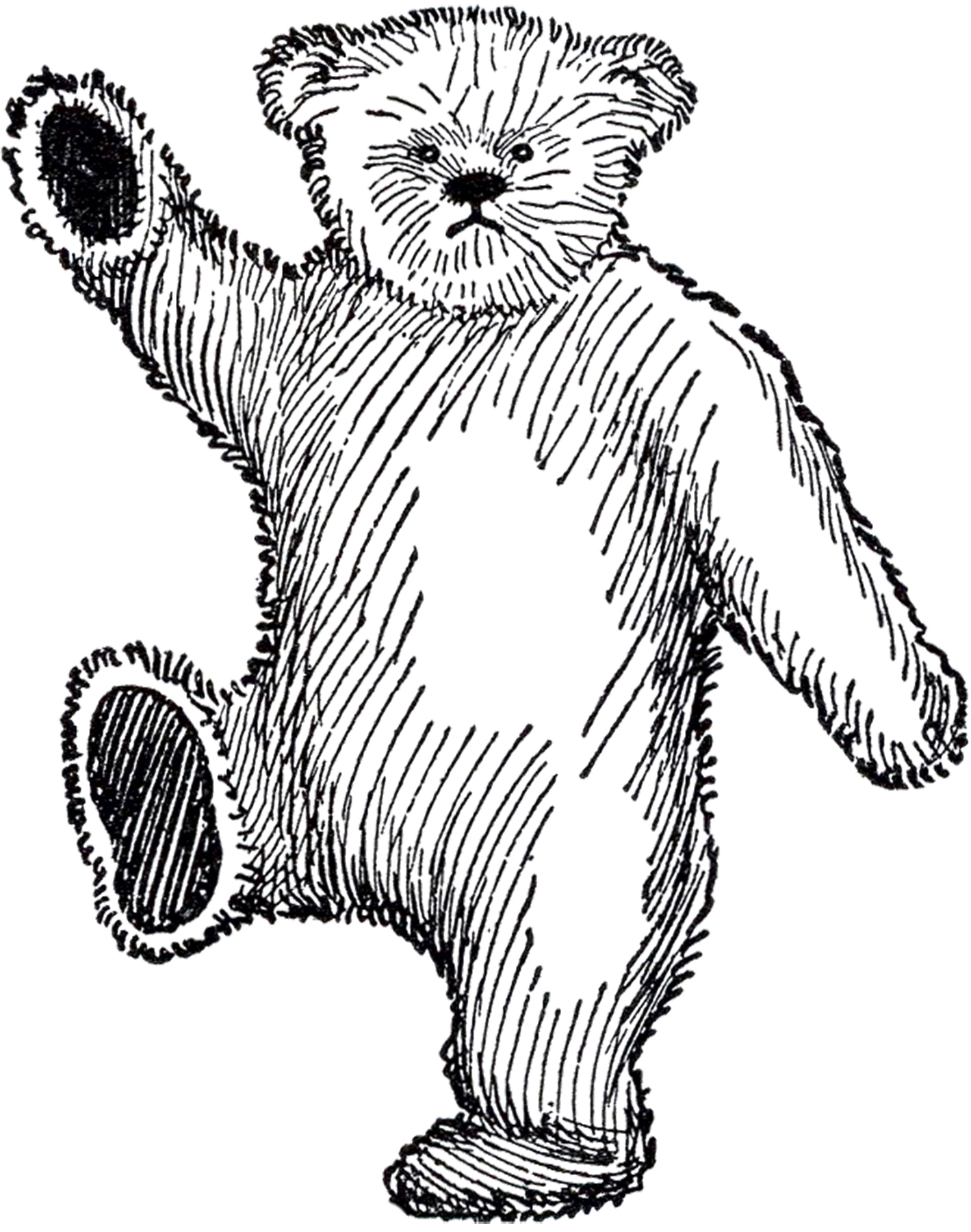 vintage teddy bear illustration