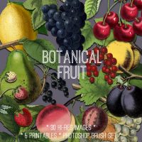 botanical fruit collage