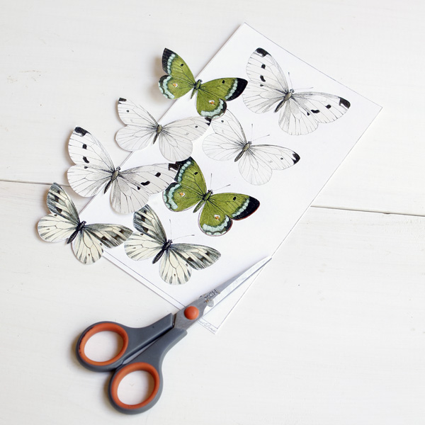 Cut out paper butterflies