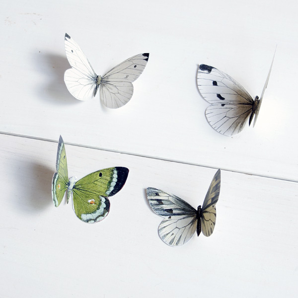 Folding paper butterflies